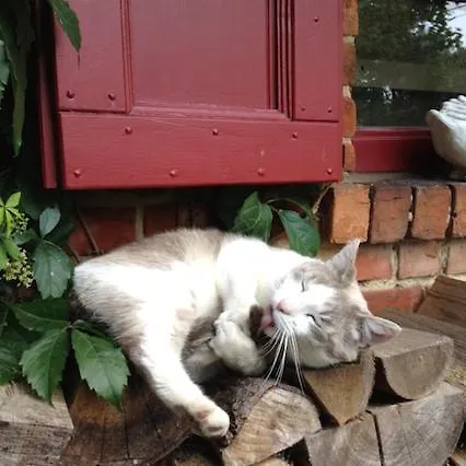 Romantisch Overnachten In De Voerstreek - Hoeve De Witte Gans Bed & Breakfast *