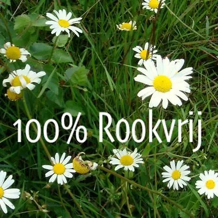 Romantisch Overnachten In De Voerstreek - Hoeve De Witte Gans Alojamento de Acomodação e Pequeno-almoço *