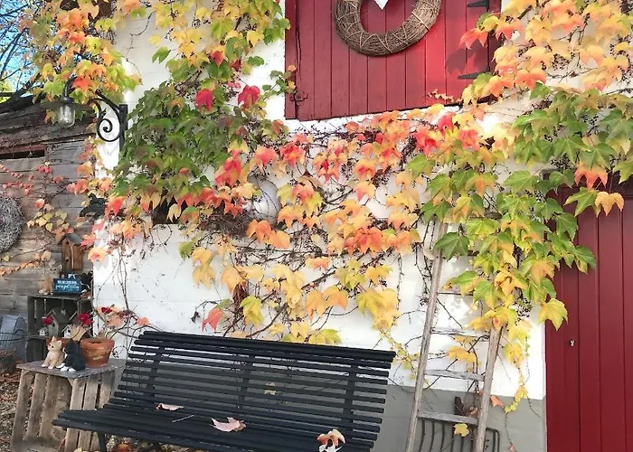 Romantisch Overnachten In De Voerstreek - Hoeve De Witte Gans Alojamento de Acomodação e Pequeno-almoço Voeren